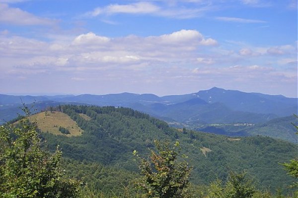Strážovské vrchy s najvyšším Strážovom spod Suchého vrchu