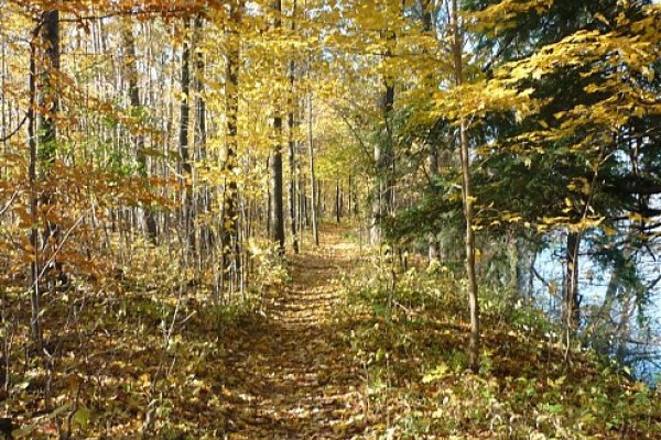 Fanshawe Lake - jesenné zlato