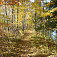 Fanshawe Lake - jesenné zlato