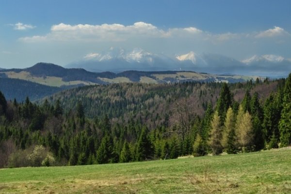 Tatry spod vrcholu Wielki Rogacz