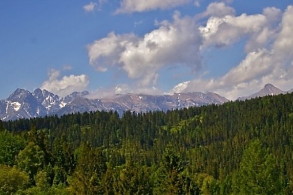 Pohľad za Magurským sedlom cez Spišskú Maguru na panorámu Vysokých a Belianských Tatier