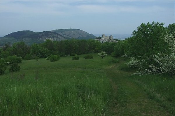 Zrúcanina Sirotčí hrádek z výstupu na Stolovú horu, v diaľke vidieť zrúcaninu hradu Děvičky