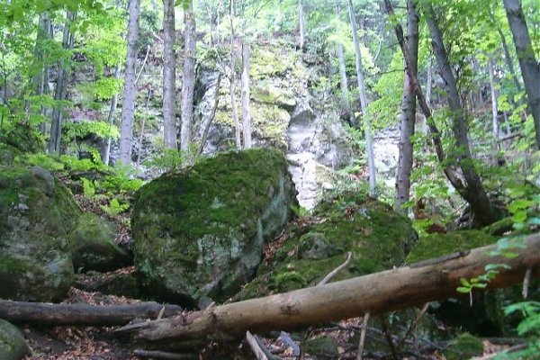 V lese sa skrývajú skalné bralá