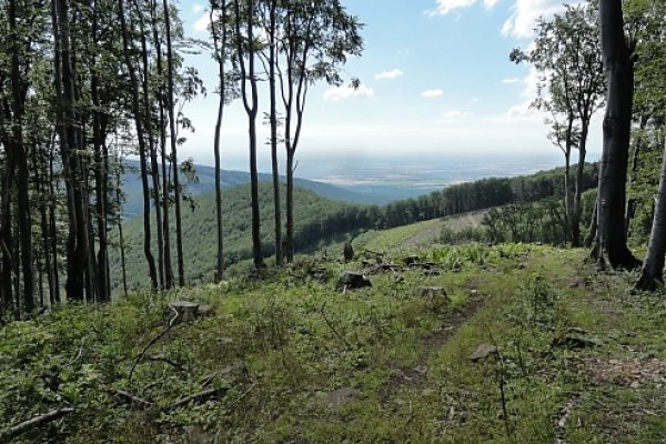 Výhľady smerom do Východoslovenskej nížiny