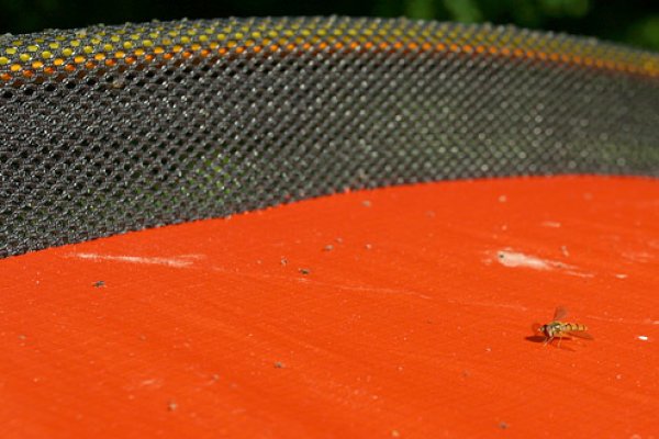 oranžová farba spoľahlivo priťahuje hmyz
