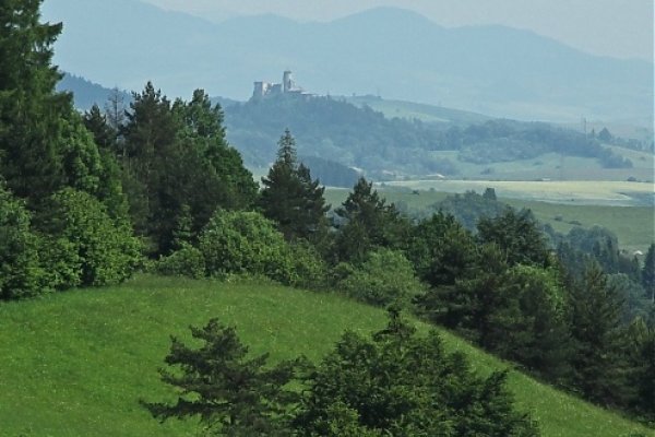 Vzdialený Ľubovniansky hrad