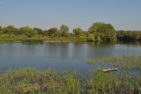 Dedinské jazero