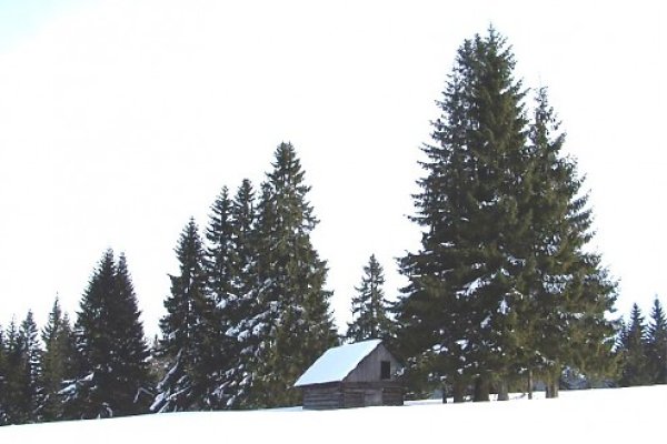Strelnícky salaš na Bukovine v zime