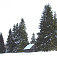 Strelnícky salaš na Bukovine v zime