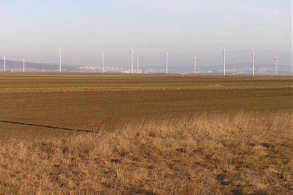 Vrtuľový les s Bratislavou v pozadí