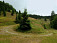 Leto - pod sedlom Príslop na zelenej značke do Nolčova (autorka foto Andrea Halienová)