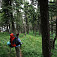 Les na Poľane (autor fotky Matúš Morong)