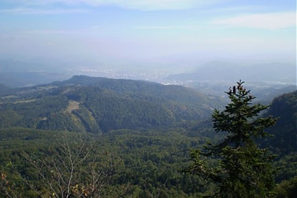 Výhľad na Banskú Bystricu z Hornej skaly