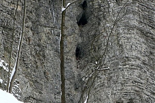 Pod Kuruckou skalou - Brankovský vodopád