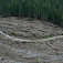 4. kilometer cesty - kedysi rozhranie sveta lavín a bezpečia lesa (5. 6. 2009)