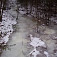 Zmrznutý potôčik objavujúci sa z lesa a križujúci chodník