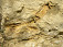 Detail Zolnianskeho laharu
