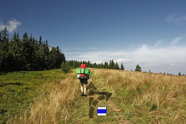 Na prvej horskej lúke Hala Mędralowa (Modralová hoľa) k zrubu doprava