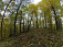 Lesné enduro