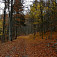 Klesanie jesenným lesom Kalištskej doliny