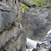 Záverečné lezenie na stenu pod vyhliadkou na Galitzenklamm Klettersteig