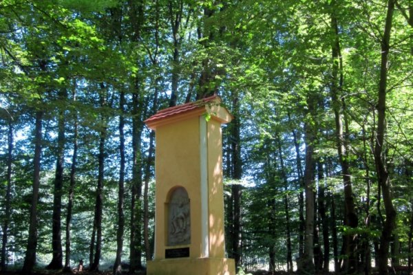 Kaplnka v lese