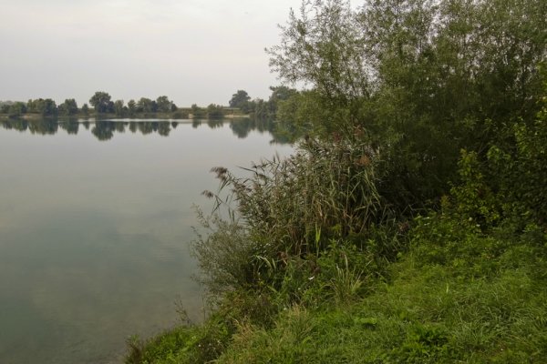 Jazero Šutrovka v Ivanke pri Dunaji