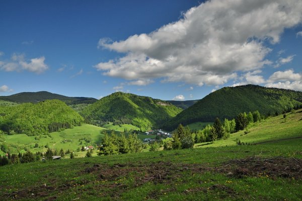 Zázrivá časť Košariská a nad ňou Kozinec a Havranský vrch z hrebeňových lúk