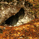 Ďalšia jaskyňa