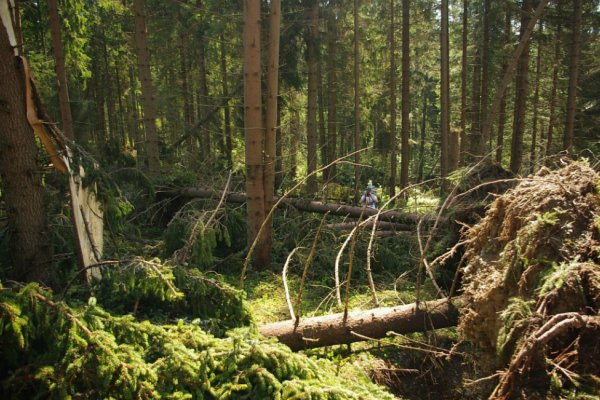 Obchádzanie spadnutých stromov je komplikované (zdroj foto: Útulňa Andrejcová - Marek Šurina)