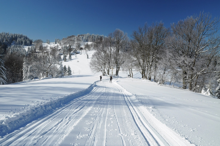 Beskydsko-Javornícka lyžiarska bežecká magistrála