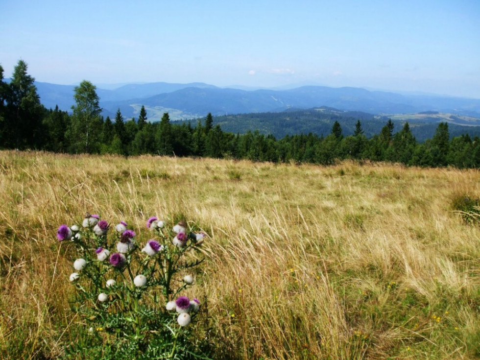 Pohľad z vrcholu Bukovca na Slovenský raj (foto z knihy Najkrajšie cyklovrcholy)