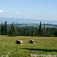 Pohľad z Bukovca na sever