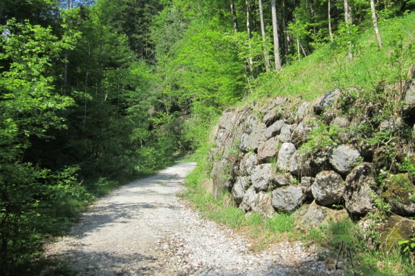 Budovaná cesta hore dolinou potoka Schöffaubach