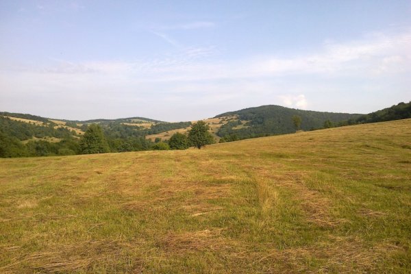 Magurski Park Narodowy ešte medzi Filipovským sedlom a sedlom Mazgalica (Przełęcz Mazgalica)
