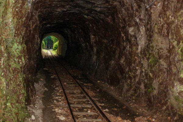 Tunel lesnej železnice
