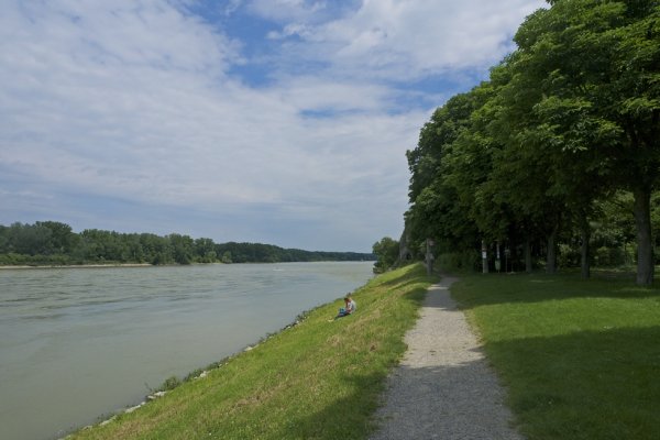 Cesta vedie popri Dunaji