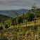 Posledný výhľad na Slovenské rudohorie z rázcestia Tri chotáre