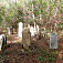 Židovský cintorín v Opinej