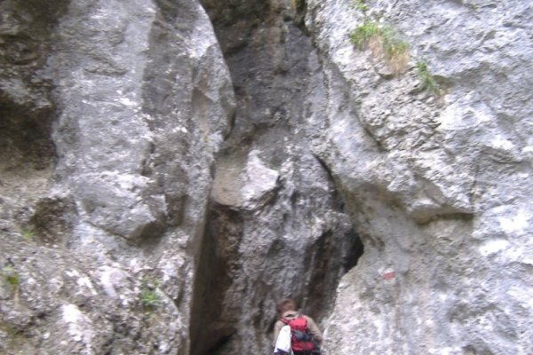 Weichtalklamm, užšia časť kaňonu