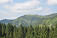 Smerovník na Bohúňove, 1312 m n. m.