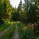 Lesné cesty na hrebeň