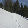 Schádzanie z Tirolerkogelu, spätný pohľad na stopy od snežníc