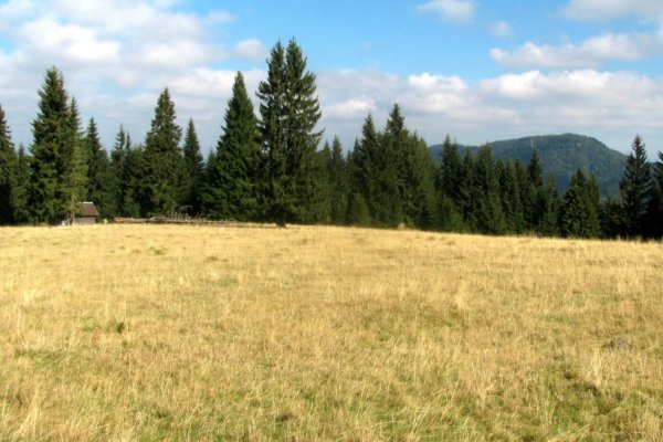 Na Ľubietovskej Bukovine, vľavo zrub a vpravo Vepor