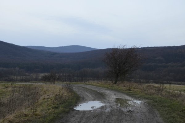 Cesta vpravo do lesa