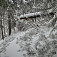 Sneh pribúdal geometrickým radom a les bol čoraz belší