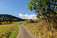 Asfaltka nad Ružbachmi