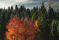 Farebná oravská jeseň