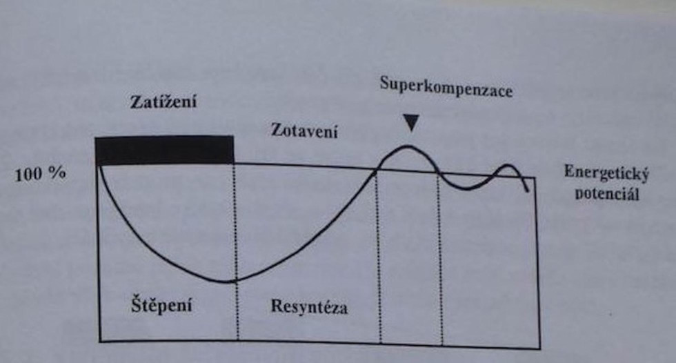 Obrázok 3 - Krivka superkompenzácie