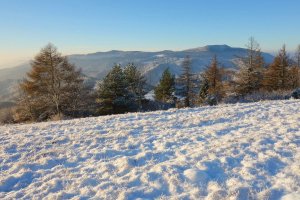 Patria - Smrekovica